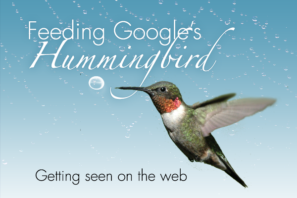 feeding-googles-hummingbird